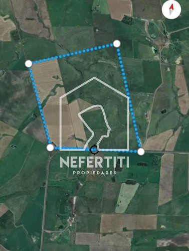 150 Hectareas A 12km De Florida