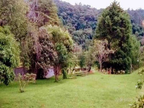 Imagem 14 de 18 de Chacara - Ch00149 - 69900794
