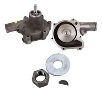 Comprar Bomba De Agua Bw Para Dina Dina 531