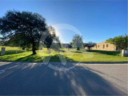 Imagen 3 de 8 de Venta Lote La Arbolada