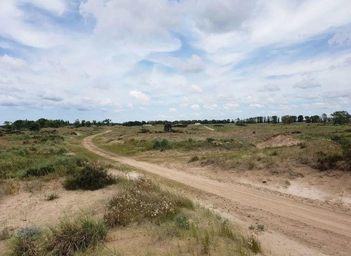 Imagen 5 de 8 de Chacra 8 Lotes De 2600 A 2900 Mts2 - Villa Gesell