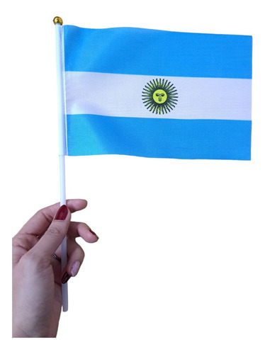 10 Banderas Argentina De Tela Para Mano - Cienfuegos