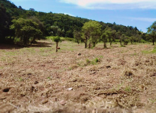 Imagem 5 de 5 de Ts/ Projeto Saindo Do Forno Para Você Decida Seu Sonho