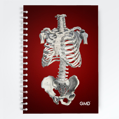 Cuaderno Sistema Óseo Del Torso Argollado Color Rojo