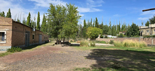 Galpón 1000 M2 C/ Ofi Y Baño - Centenario