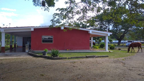 Imagen 2 de 10 de Finca En Guigue