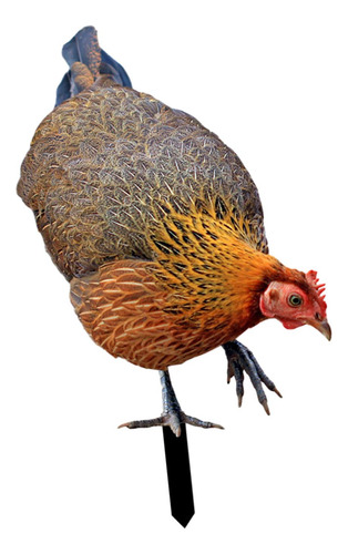 Letrero De Gallina Para Jardín, Escultura Realista De A
