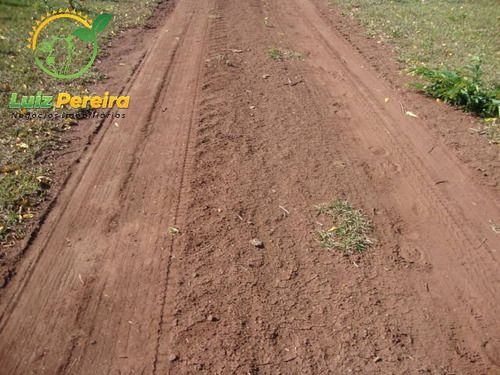 Imagem 6 de 6 de Fazenda Á Venda En Jaraguari- Ms - De 304 Hectares (pecuária) - 1761