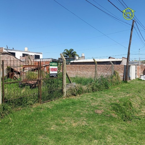 Imagen 2 de 3 de Lote De Terreno 217.52 M² A Metros De Av. San Andrés