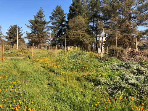 Espectacular Terreno En Caburga, Sector Montemar, Viña