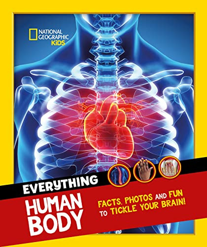 Libro Everything Human Body De Vvaa  Harper Collins