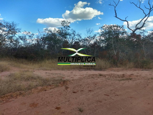 Imagem 10 de 15 de Fazenda 102,22 Hectares, R$ 2.788,10 Ha, Santa Fé De Minas Mg, Pecuária, - 442