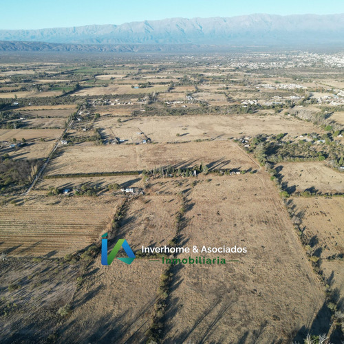 Campo En San Pedro