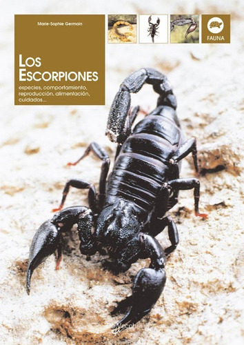 Los Escorpiones . Especies, Comportamiento, Reproduccion, Al