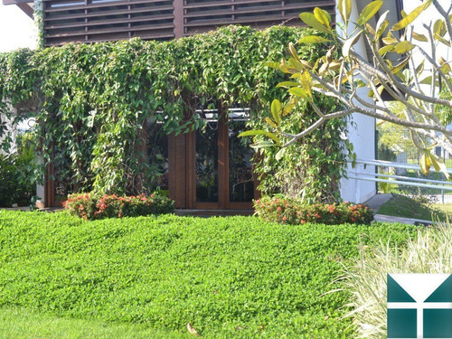 Imagem 19 de 30 de Lotes Residenciais No Alphaville - Mii-066 - 69584844