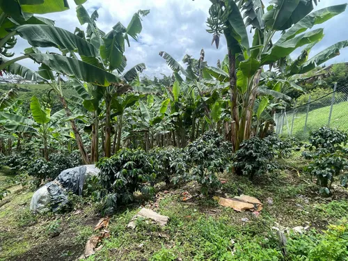 Vendo Lote Frente A Variante Condina/pereira