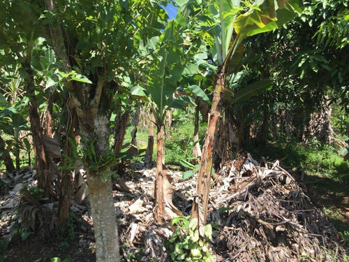 Imagem 4 de 19 de Chácara Rural À Venda, Penhinha, Arujá. - Ch0060