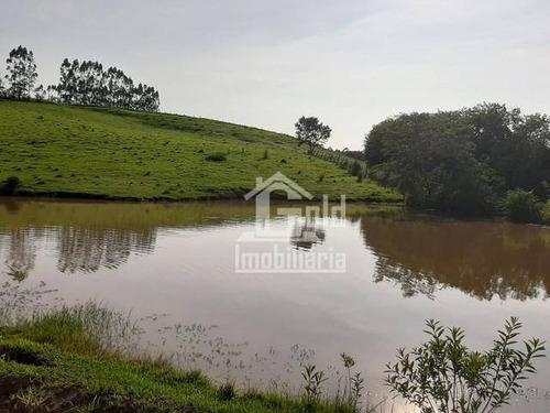 Sitio Com 6,5 Alqueires Na Região De Tatui-sp Com 3 Tanques Para Criação De Peixe, Criação De Galinha Caipira, Excelente Pasto Com 30 Cabeças De Gado - Si0069