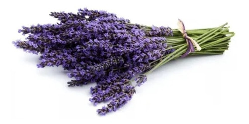 Aceite Esencial De Lavanda Puro Envase 15ml Caba Coghlan