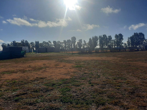 Imagen 8 de 22 de Venta De Lote Pilar Del Este Santa Lucia
