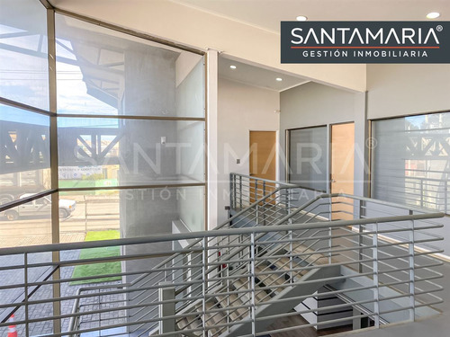 Arriendo Oficina Ubicada En Jaime Repullo, Talcahuano.