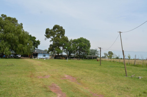 Imagen 4 de 24 de Venta De Campo De 2 Hectáreas En Guernica
