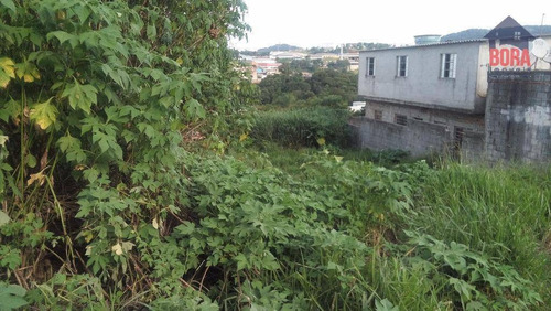 Imagem 4 de 6 de Terreno À Venda, 268 M² Por R$ 140.000 - Terra Preta - Mairiporã/sp - Te0213