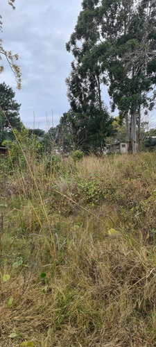 Imagen 4 de 8 de Terreno Muy Grande Y Nivelado, Ideal Vivienda Comercio. Sobre Calle Avenida Nogueira A Dos Cuadras De Ruta Interbalnearia Zona De Crecimiento Y Muy Tranquila.