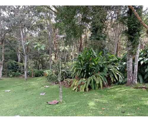 Lote En Venta Sector Llanogrande- Parcelación Vía Don Diego