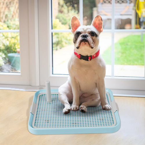 Inodoro Para Perros Con Lavabo Para Perros A Prueba De Fugas