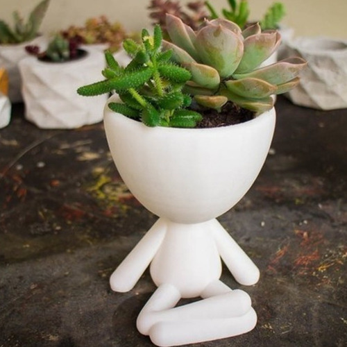 Imagen 3 de 5 de Set Maceta Cactus Suculentas Muñeco Robert Plant Pack X3