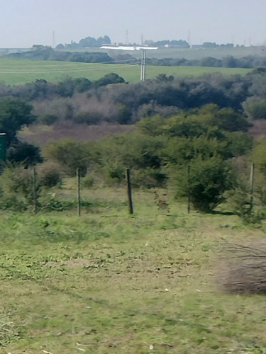 Se Vende Campo Sobre Ruta 8