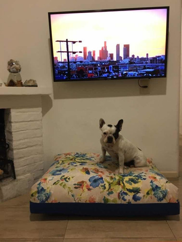 Almohadones Para Mascotas - Perros, Gatos -