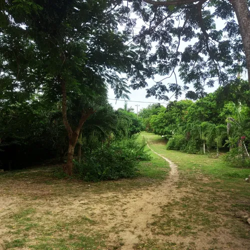 Excelente Oportunidad De Inversión, Propiedad Ubicada En Primera Línea De Playas Vírgenes De La Zona Norte De Cartagena Cod. 50051