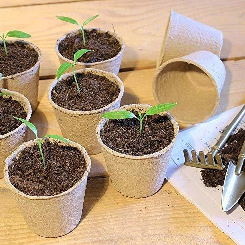 Imagen 3 de 9 de M-aimee Plant Starter Turba Macetas, Macetas Biodegradables