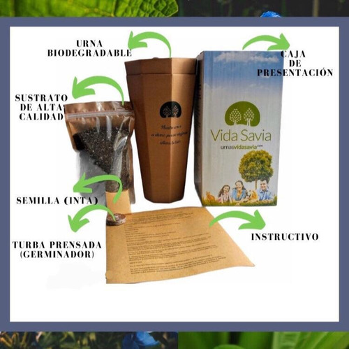Imagen 9 de 10 de Urnas Para Cenizas Biodegradable Vida Savia
