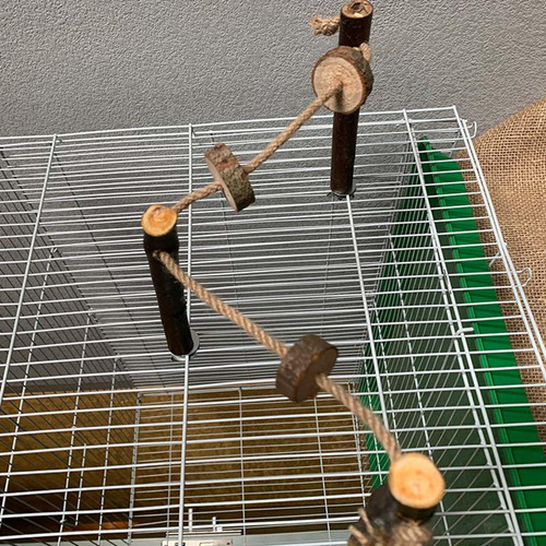3 Bird Parrot Perches De Hamaca De Madera Para Cockatiel
