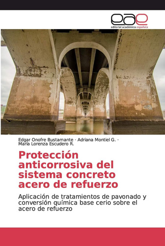 Libro: Protección Anticorrosiva Del Sistema Concreto Acero D