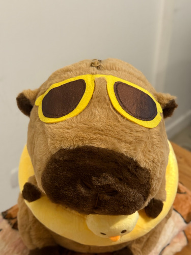 Peluche Capibara 40cm Con Manta Suave Patito Flotador