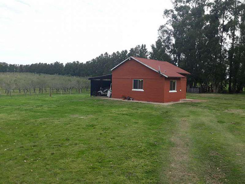 Venta Chacra Permuta Colonia Montevideo Punta Del Este Buenos Aires