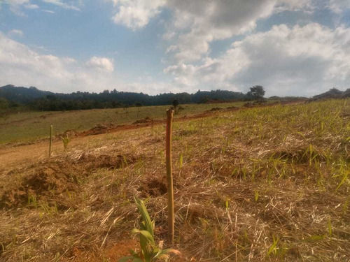 Imagem 13 de 14 de 1 - R$130mil Entrada E Saldos Em Até 72x No Boleto