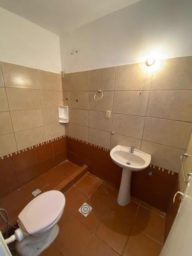 Alquiler Apartamento En Reducto 1 Dormitorio Con Patio