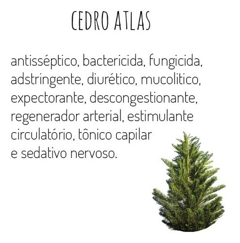  leo Essencial Cedro Atlas 100% Natural Puro Via Aroma 10ml