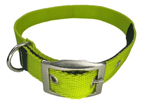 Collar Para Perros Natcan Tipo Hamilton Hebilla Reforzada Color Verde manzana Tamaño del collar L