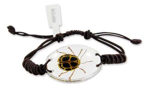 Realbug Punto Negro Pulsera Escarabajo De La Hoja, Claro.