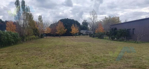 Lote En Venta En El Barrio Altos De Manzanares