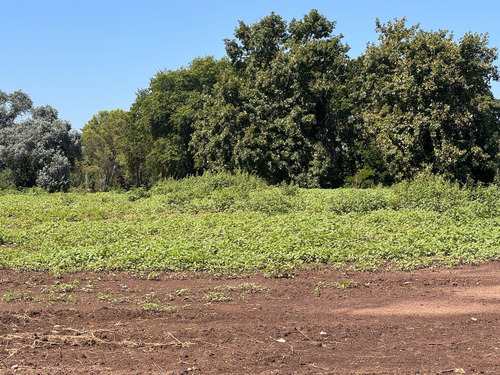 Venta - Lote Interno - Estancia Carabassa | Vco Propiedades