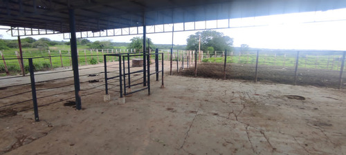 En Venta Finca En Aragua De Barcelona Estado Anzoategui