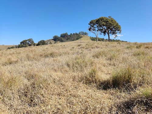 Imagem 9 de 10 de Chácara À Venda, 84700 M² Por R$ 850.000,00 - Água Comprida - Cambuí/mg - Ch0108