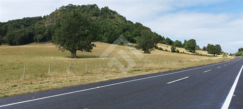Sitio - 5.000 M2 Cada Uno - Cascadas - Puerto Octay